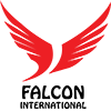 Falconinternationaleg